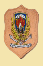 crest militari di Angela Occhipinti - Gladio - Silendo Libertatem Servo